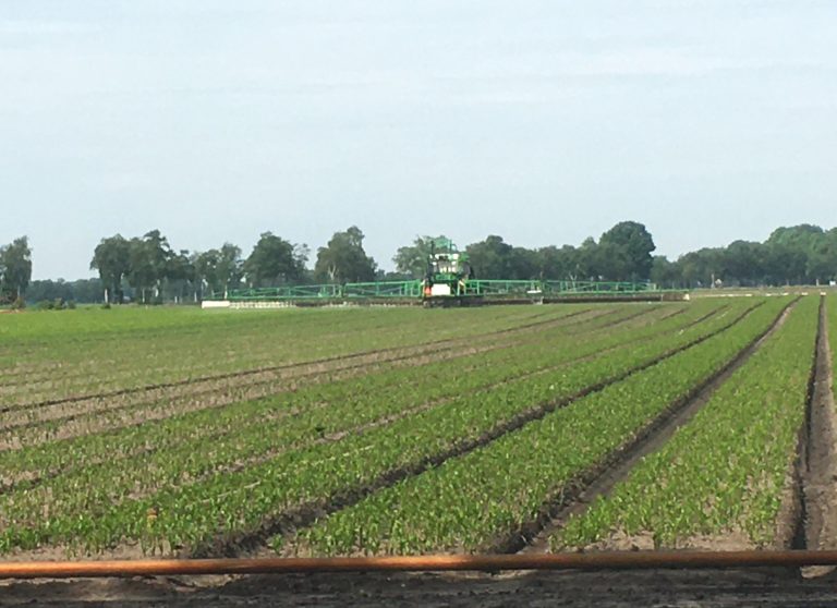 Raad van State vernietigt derde Bestemmingsplan Westerveld op rij