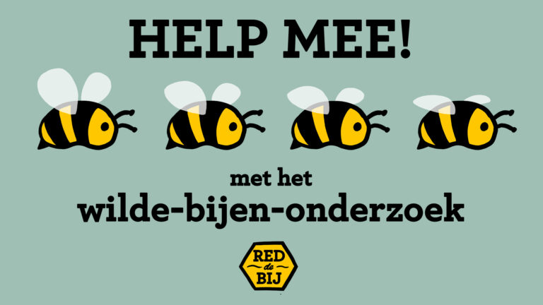 Doe mee met hommelonderzoek