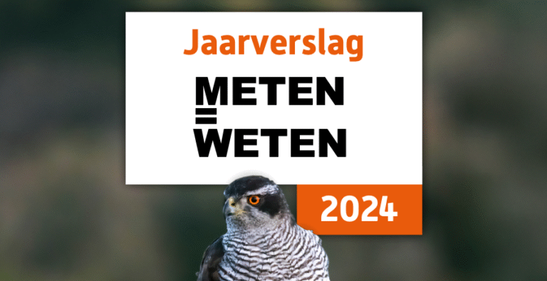 Jaarverslag 2024