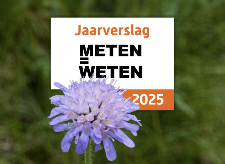 Jaarverslag 2025